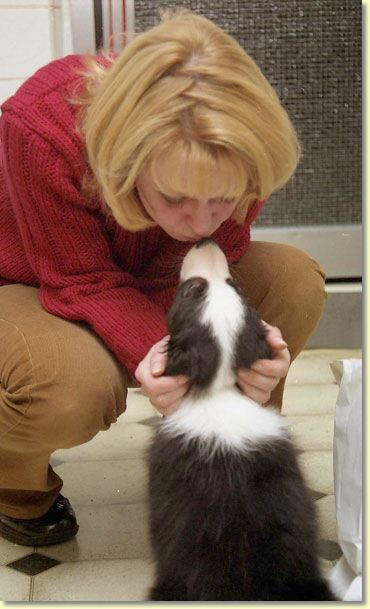 002_hundescan002-edit-web.jpg