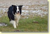 010_DSC_0106_bearbeitet.jpg