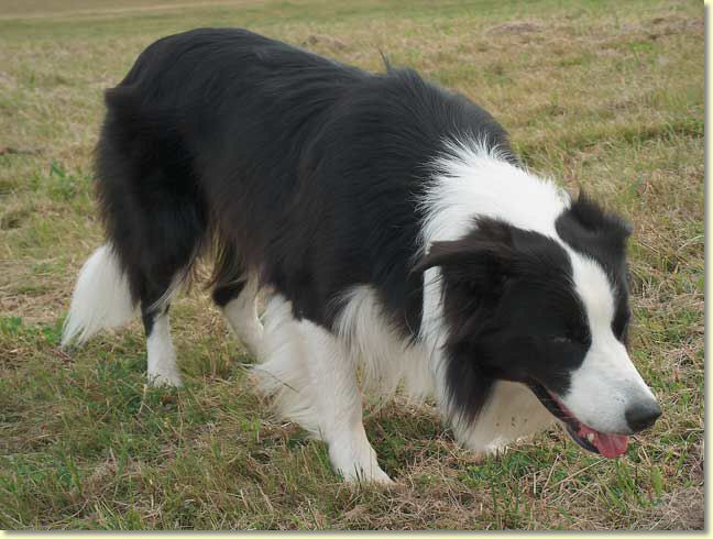 019_paddy_hpim4462_edit_web.jpg
