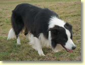 019_paddy_hpim4462_edit_web.jpg