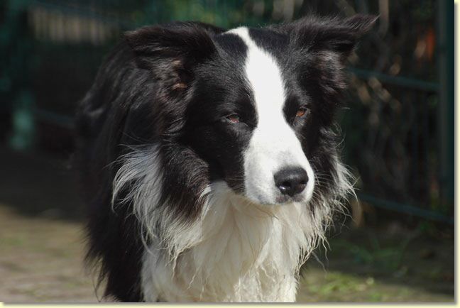021_paddy_dsc_1687_edit_web.jpg