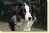021_paddy_dsc_1687_edit_web.jpg