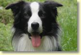 022_paddy_dsc_2495_edit_web.jpg