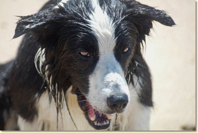 023_paddy_dsc_2763_edit_web.jpg