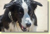 023_paddy_dsc_2763_edit_web.jpg