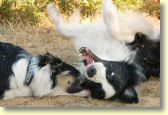 024_paddy_DSC_2922_edit_web.jpg