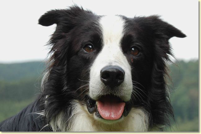 025_paddy_dsc_3692_edit_web.jpg