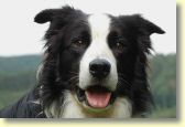 025_paddy_dsc_3692_edit_web.jpg