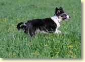 033_08DSC_1654-web.jpg