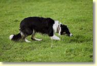 dsc_6780_02.jpg
